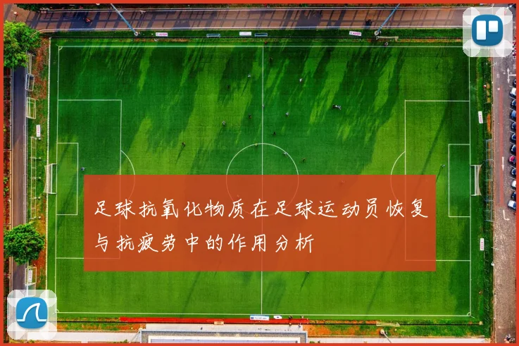 足球抗氧化物质在足球运动员恢复与抗疲劳中的作用分析