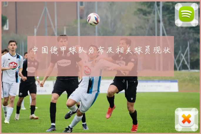 中国德甲球队分布及相关球员现状