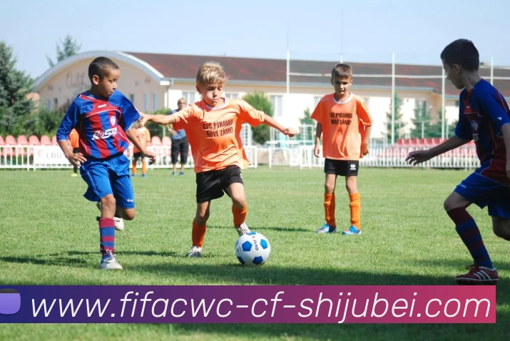 世界杯直播服务体系