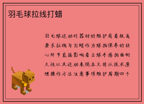 羽毛球拉线打蜡